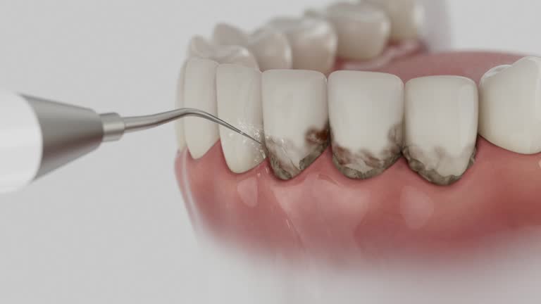 Reliable Dental contractor in Florence, TX by Dentist Open Now